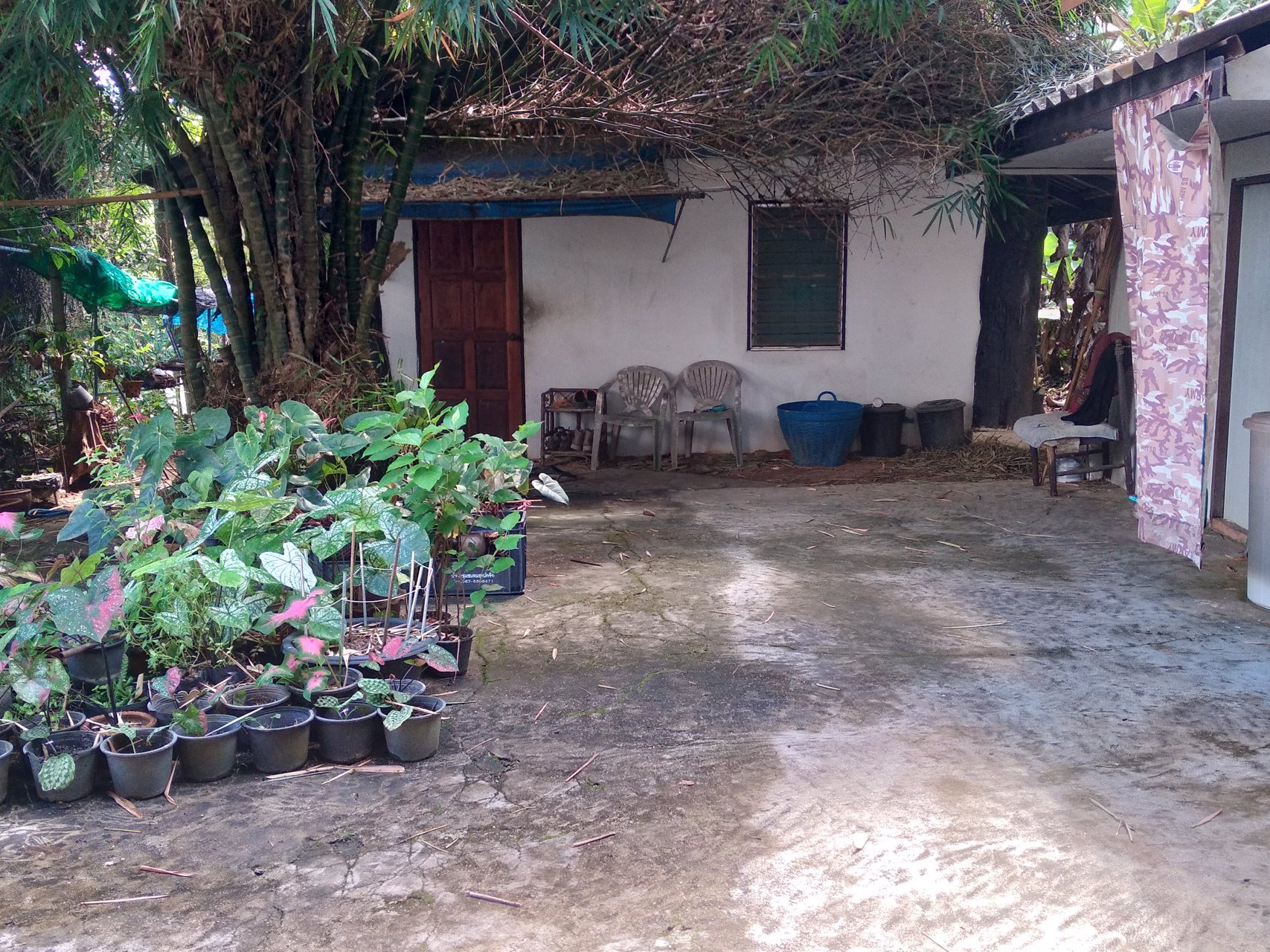 ขายด่วนหอพักใกล้ราชมงคลพาน