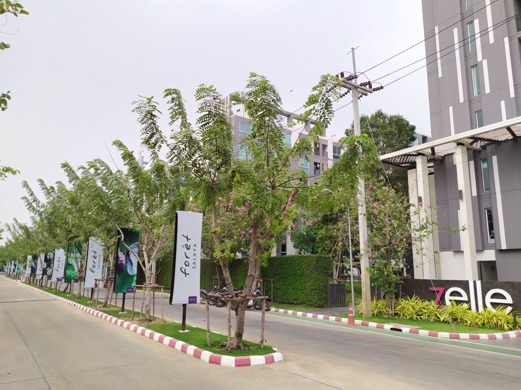 zelle-salaya-เซล-ศาลายา-ขาย-ให้เช่า-คอนโดใกล้มหาวิทยาลัยมหิดล-ศาลายา-ห้องสวย-ราคาถูก