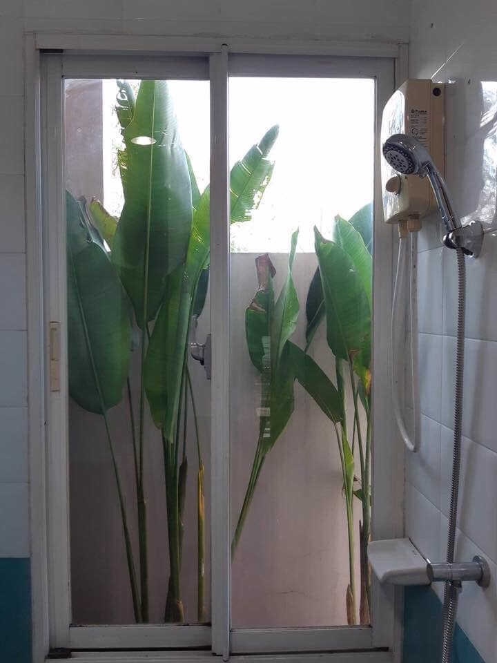 ให้เช่า-ทาวน์โฮม-สูง-35-ชั้น-นีโอ-คลาสสิคโฮม-รามอินทรา65