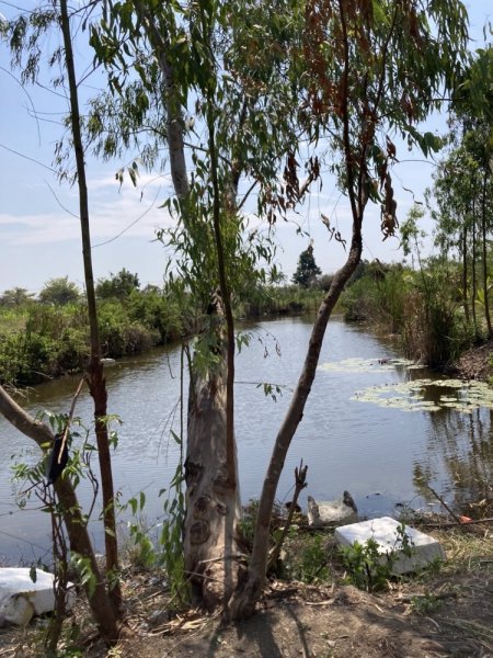 ห้องพักภู่มาลี