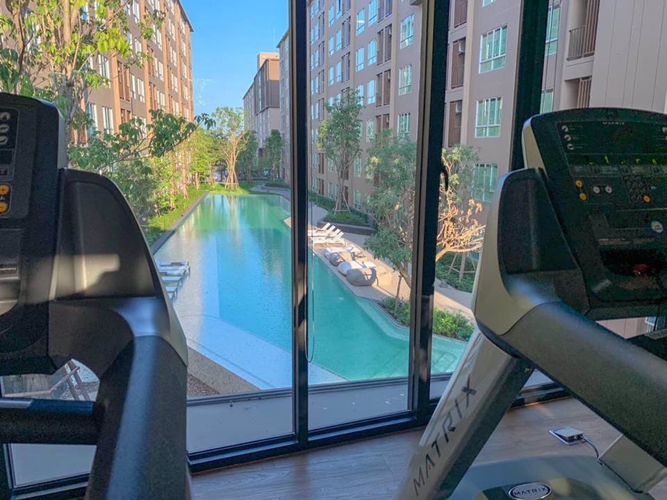 ประกาศ-ให้เช่า-ดีคอนโด-แคมปัส-กำแพงแสน-ตึก-b-ชั้น-1-ห้อง-วิวสระ-สวน-ใกล้สนามบาส