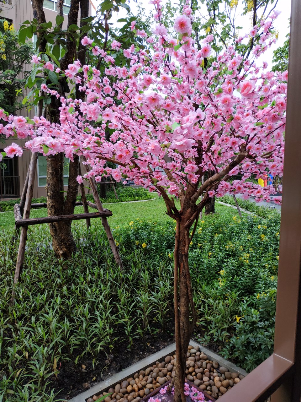 ประกาศ-ให้เช่า-ดีคอนโด-แคมปัส-กำแพงแสน-ตึก-b-ชั้น-1-ห้อง-วิวสระ-สวน-ใกล้สนามบาส