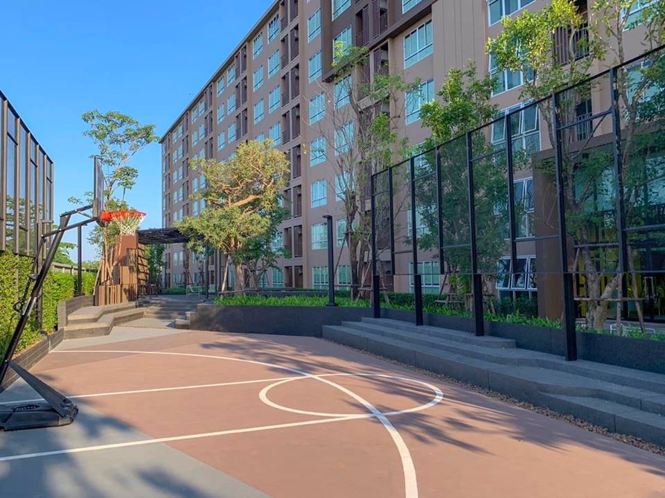 ประกาศ-ให้เช่า-ดีคอนโด-แคมปัส-กำแพงแสน-ตึก-b-ชั้น-1-ห้อง-วิวสระ-สวน-ใกล้สนามบาส