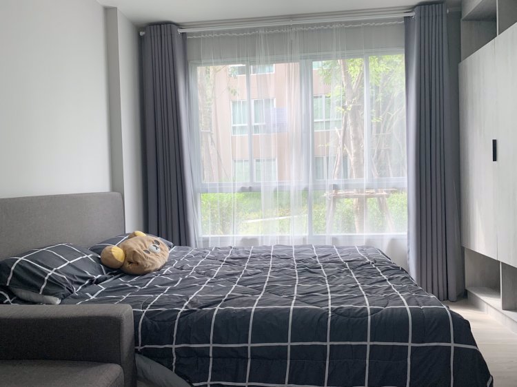 ประกาศ-ให้เช่า-ดีคอนโด-แคมปัส-กำแพงแสน-ตึก-b-ชั้น-1-ห้อง-วิวสระ-สวน-ใกล้สนามบาส