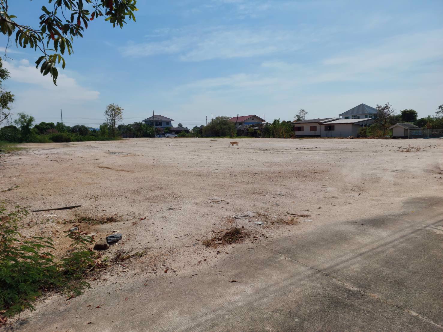 ขายที่ดินถมแล้ว-ขายยกแปลง-ขนาดประมาณ-3-ไร่-ราคา-35-ลบอยู่ใน-ซวัดศรีวารีน้อย-โทร-065-8795619