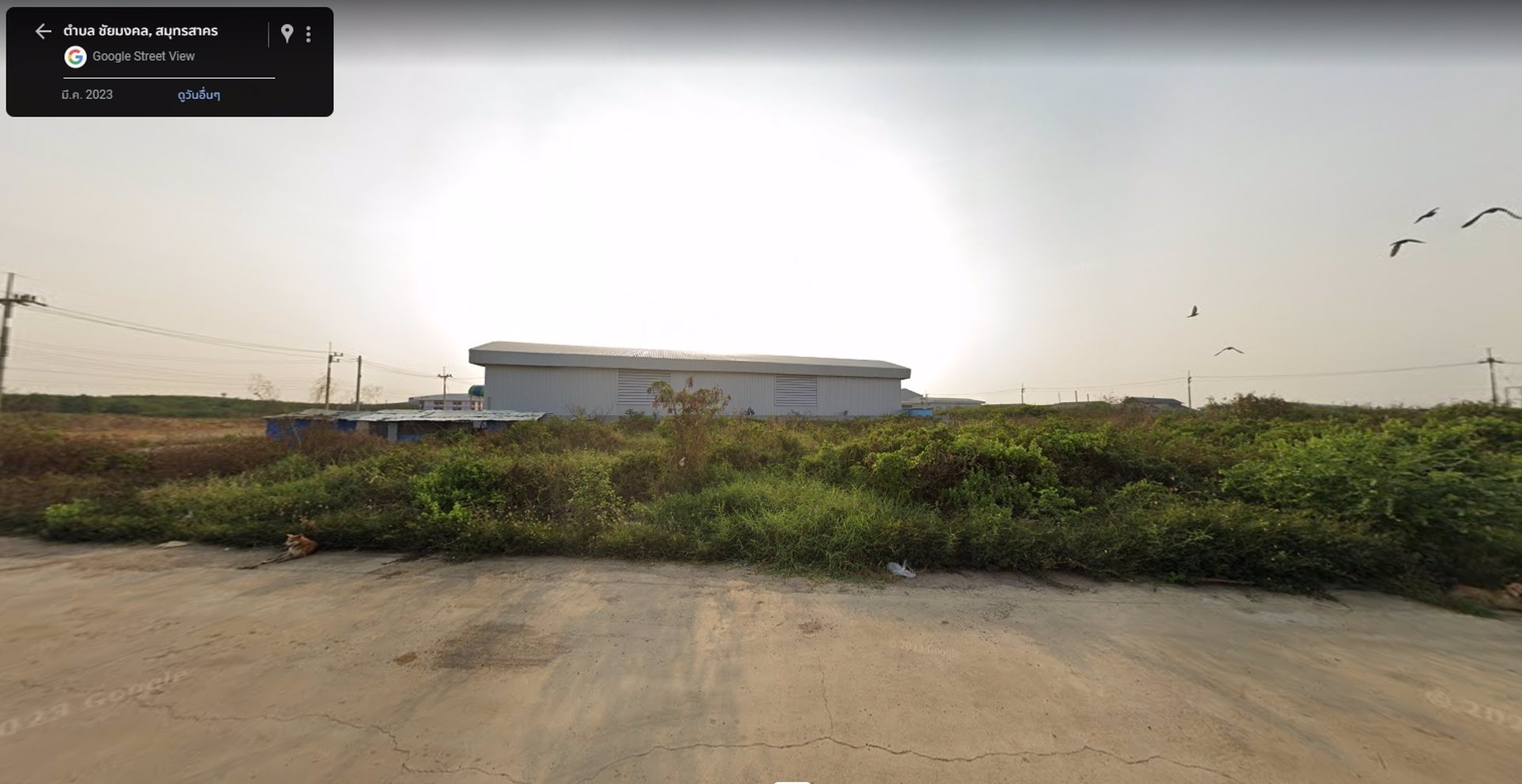 ขายที่ดินเปล่า-นส4-อยู่ในนิคมอุสาหกรรม-แหล่งโรงงาน-โกดัง