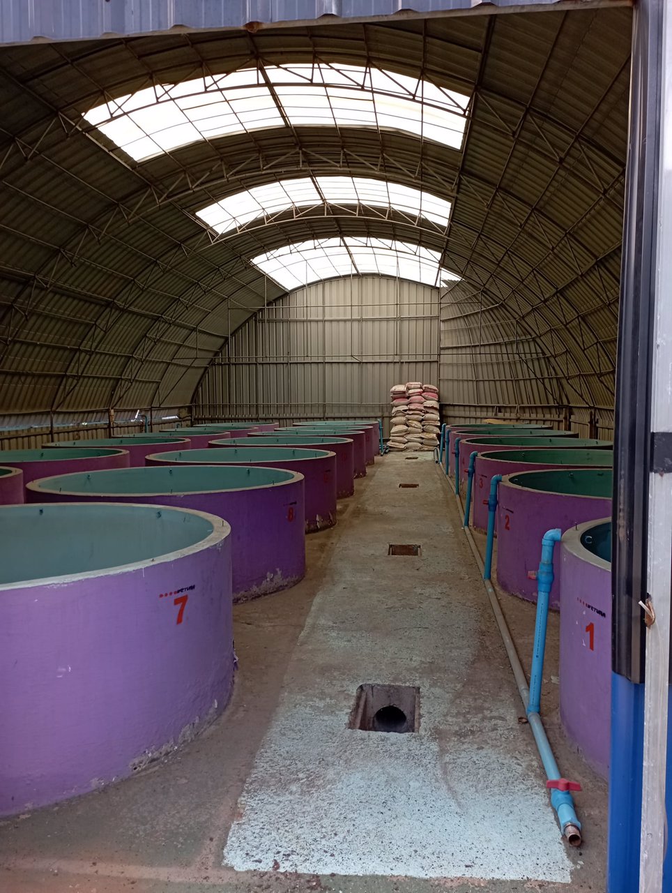 ให้เช่าฟาร์มกุ้งบ่อปูนพร้อมบ้าน