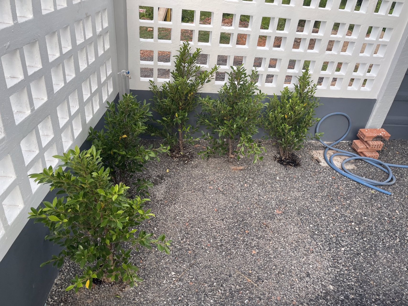 โครงการ-บ้านภัทรวิลเลจ-ท่าทองใหม่