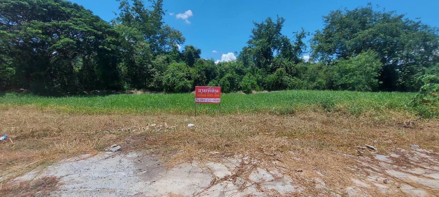 ด่วนน-ขายที่ดินใจกลางเมืองลพบุรี