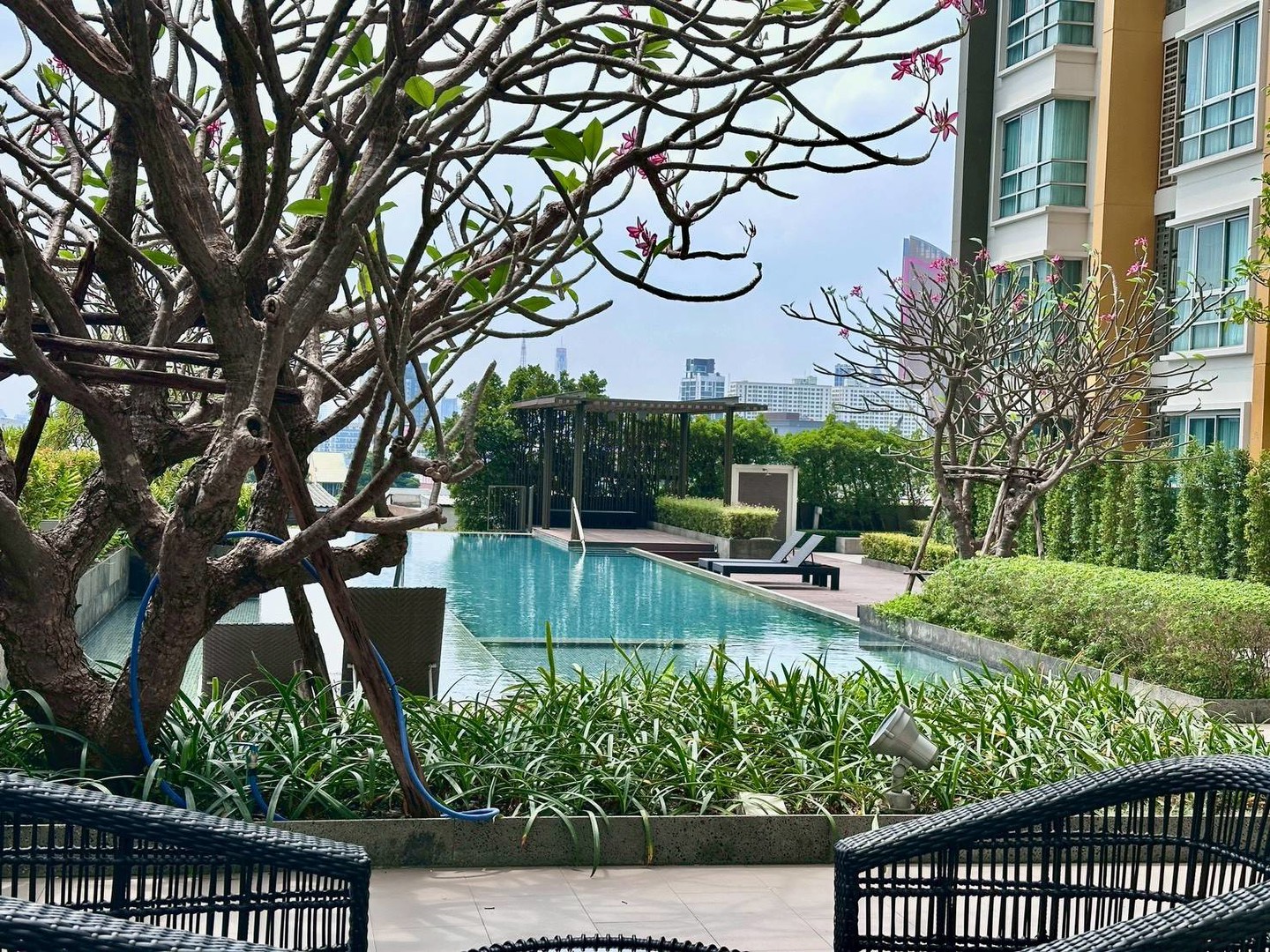 pool-view-unit-every-room-• 2-bedrooms-•-2-bathrooms-•-65-sqm