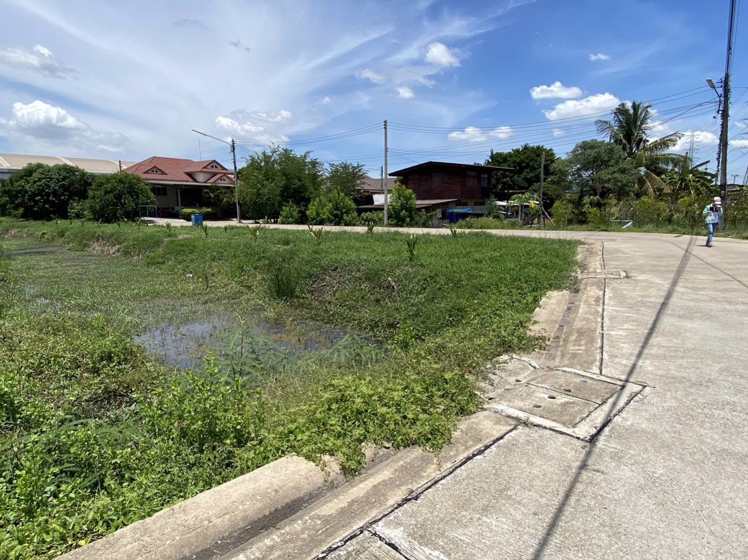 ขายที่เปล่าแหล่งเศรษฐกิจ-ตท่าไม้-อกระทุ่มแบน-จสมุทรสาคร