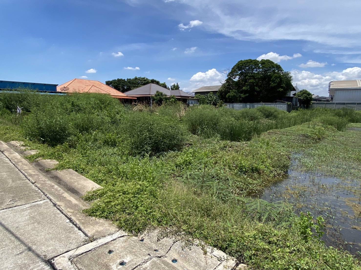 ขายที่เปล่าแหล่งเศรษฐกิจ-ตท่าไม้-อกระทุ่มแบน-จสมุทรสาคร