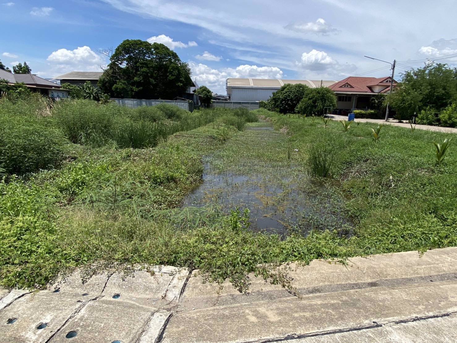 ขายที่เปล่าแหล่งเศรษฐกิจ-ตท่าไม้-อกระทุ่มแบน-จสมุทรสาคร