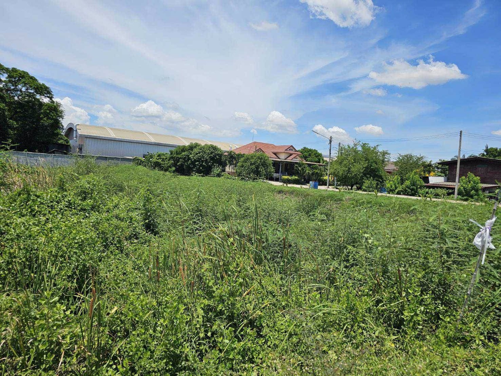 ขายที่เปล่าแหล่งเศรษฐกิจ-ตท่าไม้-อกระทุ่มแบน-จสมุทรสาคร