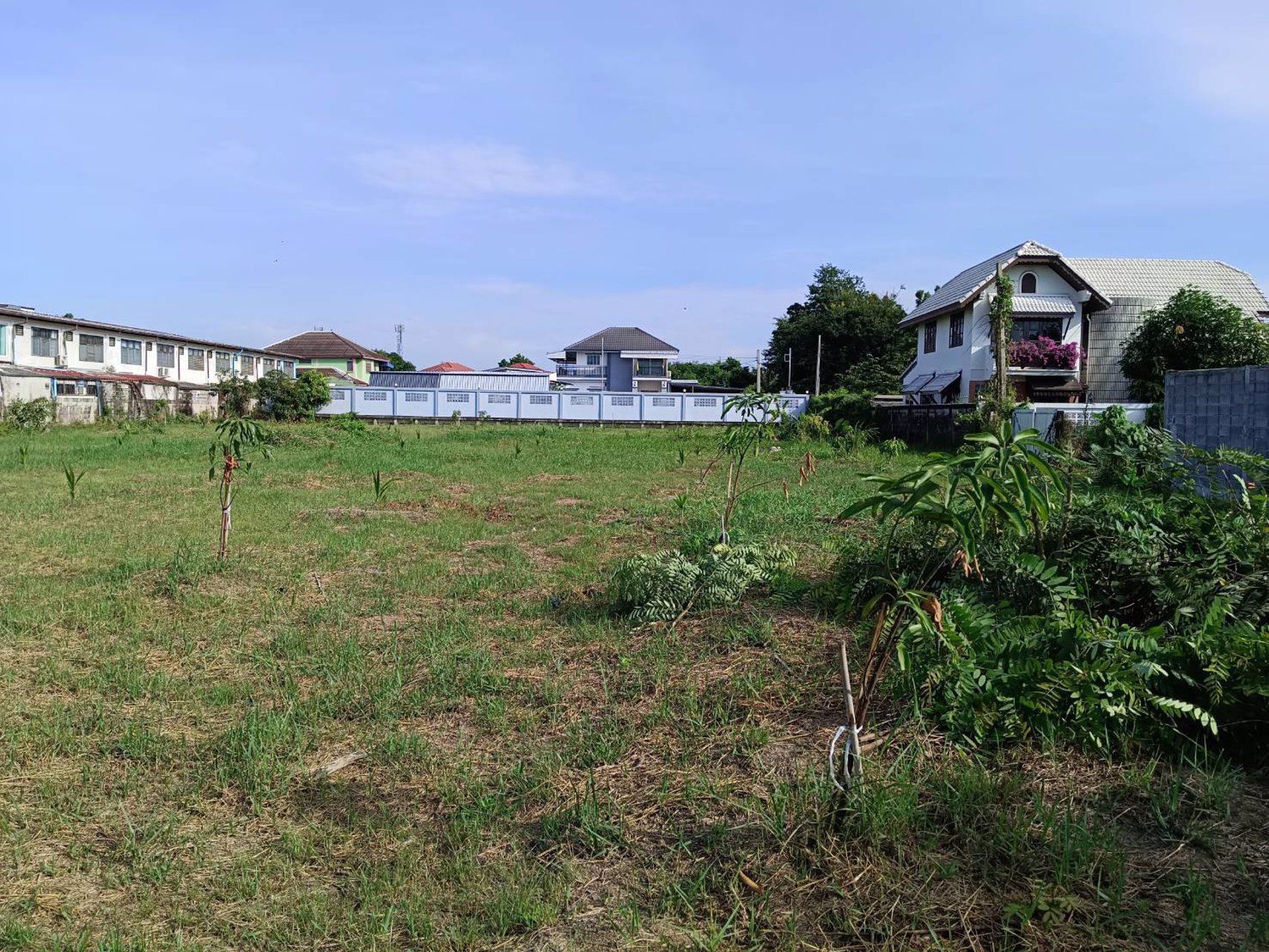 ขายที่เปล่าติดถนนสาธารณะในซอยบรมราชชนนี-68