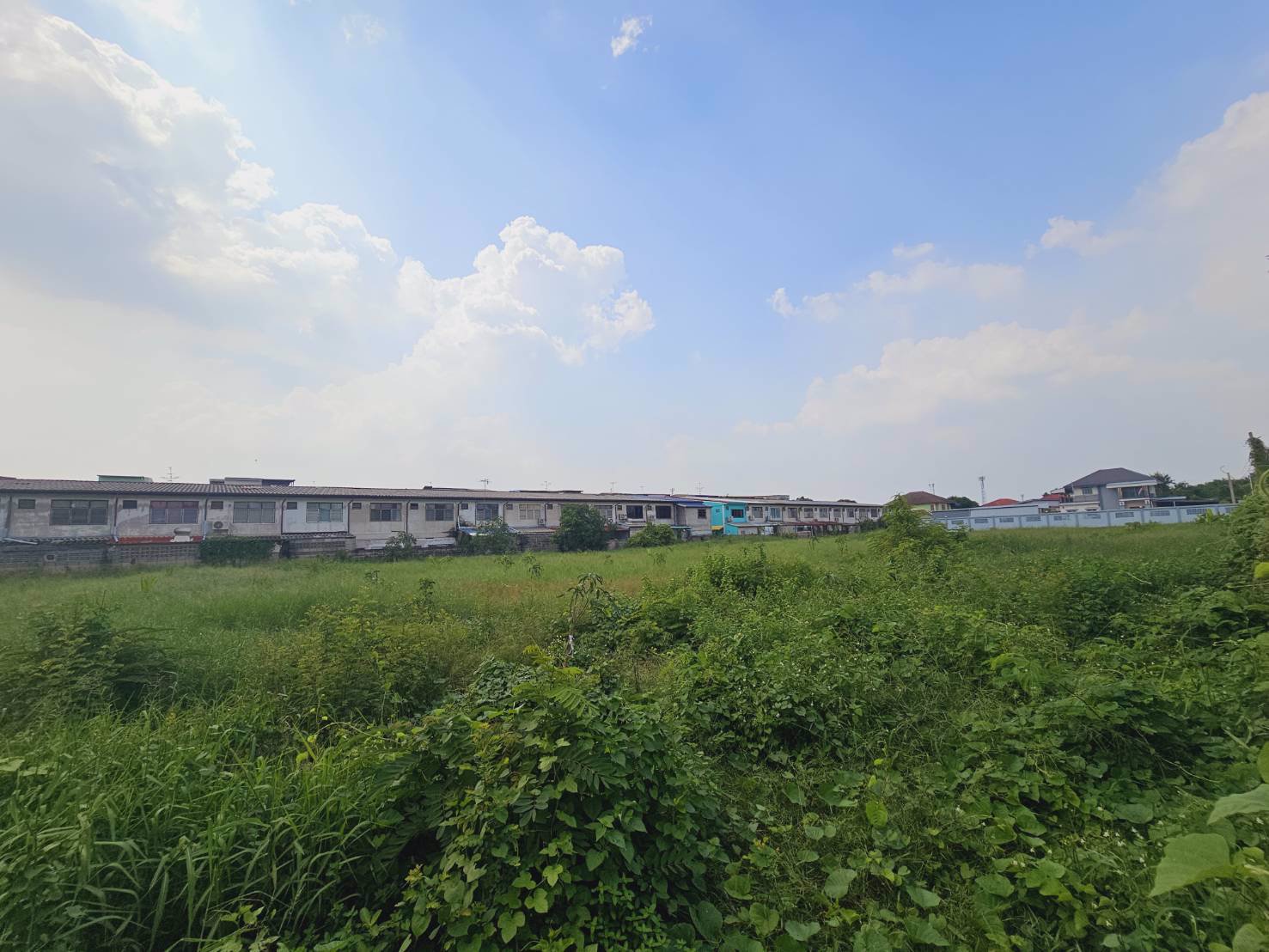 ขายที่เปล่าติดถนนสาธารณะในซอยบรมราชชนนี-68