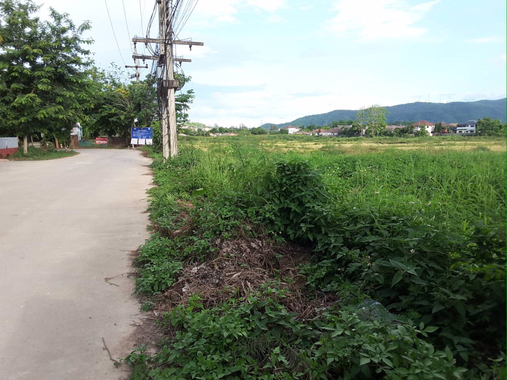 ขายที่ดิน-ใกล้เซ็นทรัลเชียงราย-ใกล้โฮมโปร-และสนามบินเชียงราย-31ไร่-3-งาน-17-ตารางวา