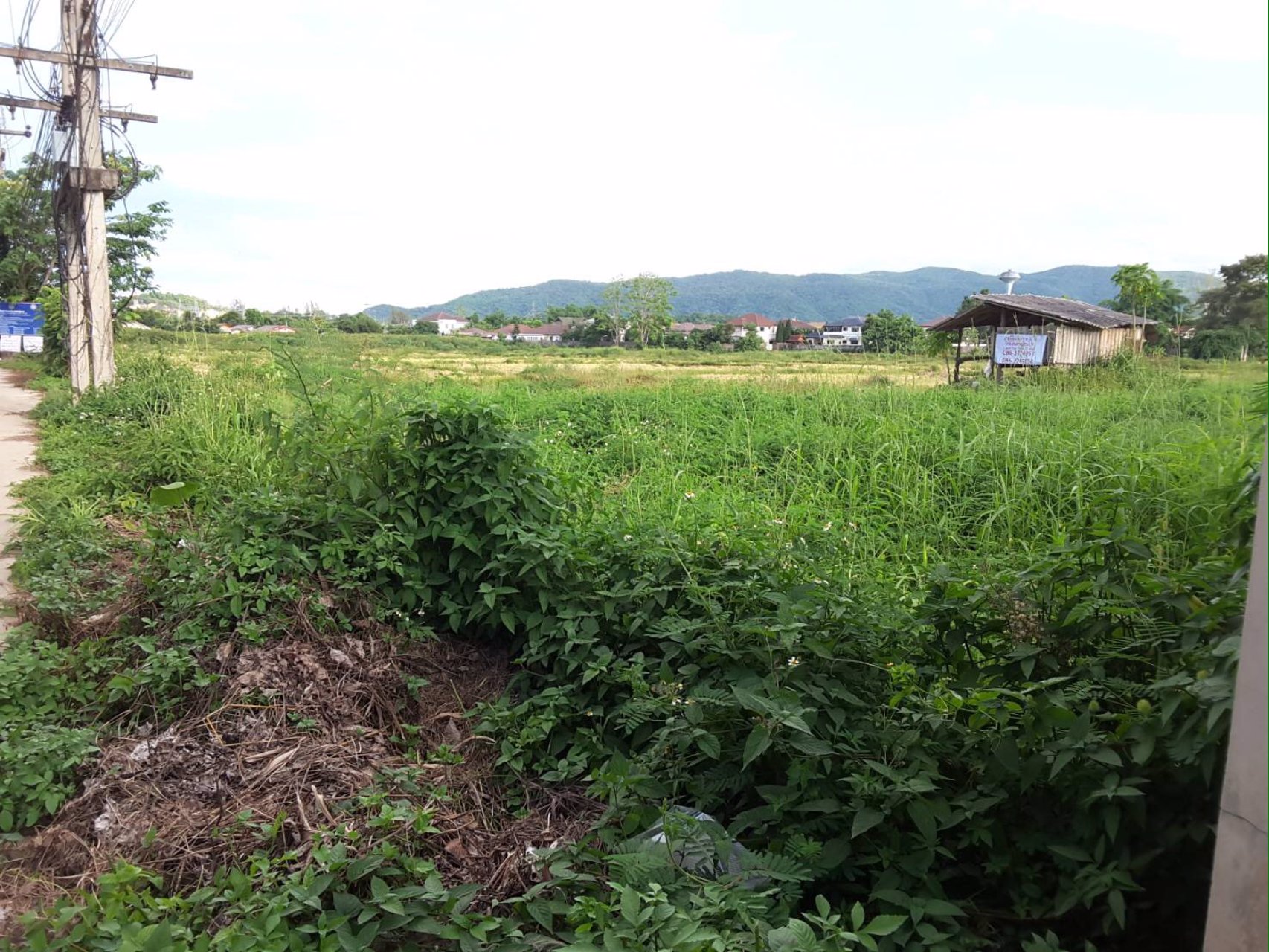 ขายที่ดิน-ใกล้เซ็นทรัลเชียงราย-ใกล้โฮมโปร-และสนามบินเชียงราย-31ไร่-3-งาน-17-ตารางวา