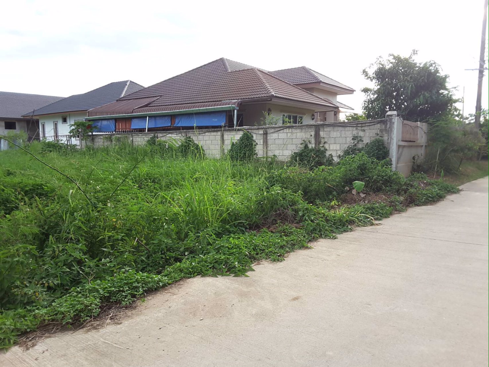 ขายที่ดิน-ใกล้เซ็นทรัลเชียงราย-ใกล้โฮมโปร-และสนามบินเชียงราย-31ไร่-3-งาน-17-ตารางวา