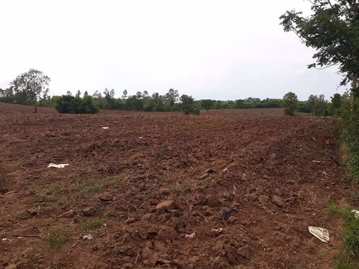 ที่ดินวิวภูเขา-ใกล้ภูทับเบิก-ห่างจากทางหลวงแผ่นดินเพียง12กม-แปลงใหญ่-103-1-81-ไร่-แบ่งโฉนดได้