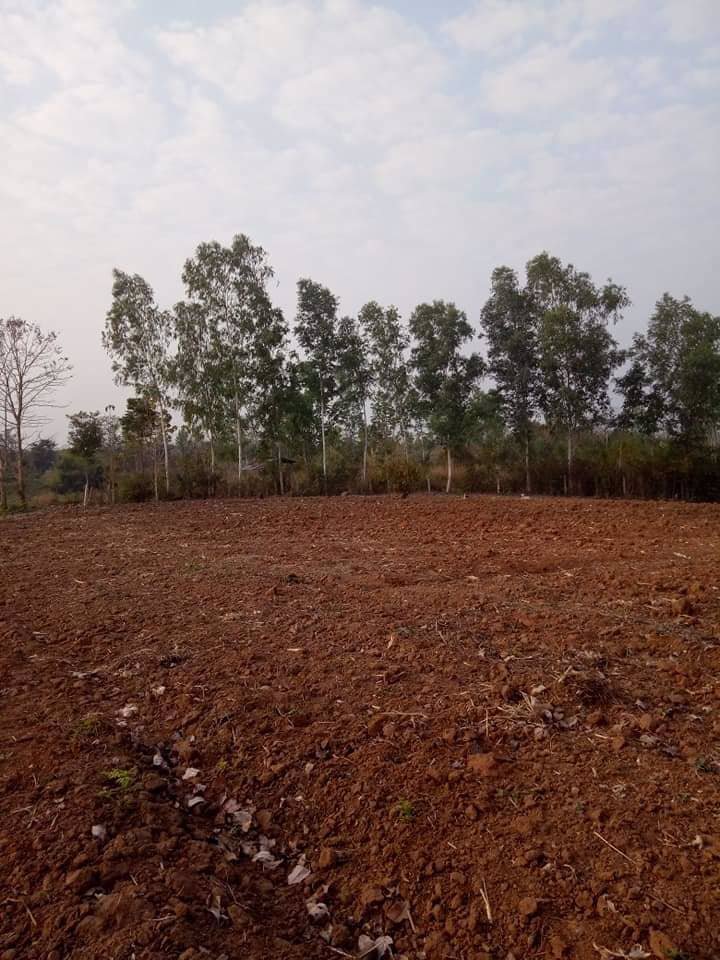 ที่ดินวิวภูเขา-ใกล้ภูทับเบิก-ห่างจากทางหลวงแผ่นดินเพียง12กม-แปลงใหญ่-103-1-81-ไร่-แบ่งโฉนดได้