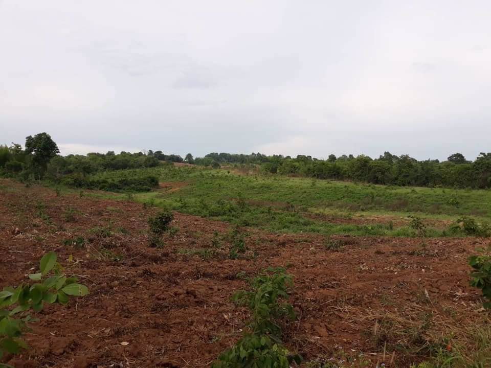 ที่ดินวิวภูเขา-ใกล้ภูทับเบิก-ห่างจากทางหลวงแผ่นดินเพียง12กม-แปลงใหญ่-103-1-81-ไร่-แบ่งโฉนดได้