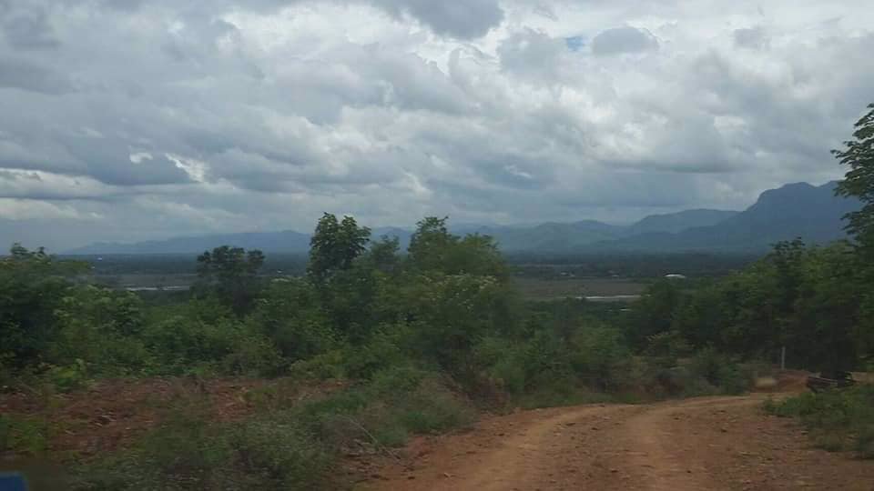 ที่ดินวิวภูเขา-ใกล้ภูทับเบิก-ห่างจากทางหลวงแผ่นดินเพียง12กม-แปลงใหญ่-103-1-81-ไร่-แบ่งโฉนดได้
