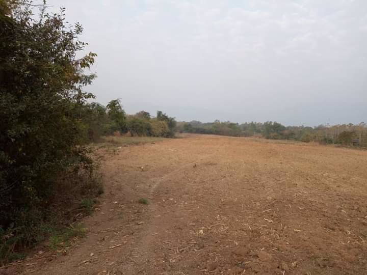 ที่ดินวิวภูเขา-ใกล้ภูทับเบิก-ห่างจากทางหลวงแผ่นดินเพียง12กม-แปลงใหญ่-103-1-81-ไร่-แบ่งโฉนดได้