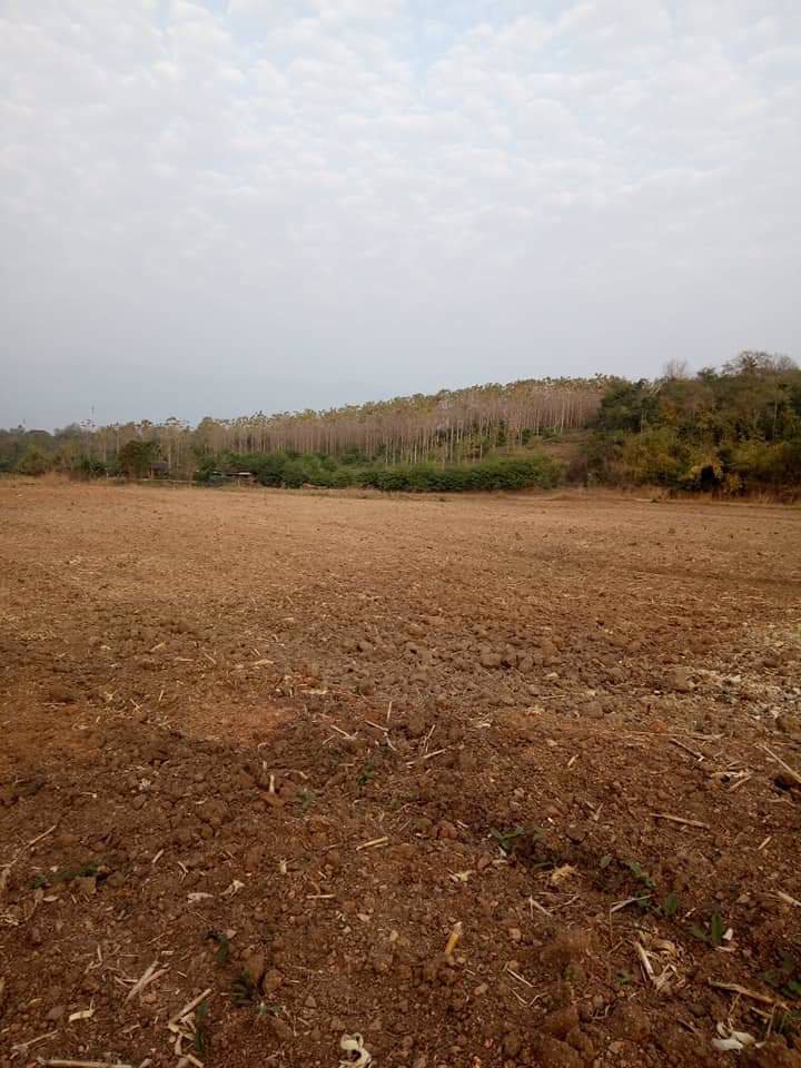 ที่ดินวิวภูเขา-ใกล้ภูทับเบิก-ห่างจากทางหลวงแผ่นดินเพียง12กม-แปลงใหญ่-103-1-81-ไร่-แบ่งโฉนดได้