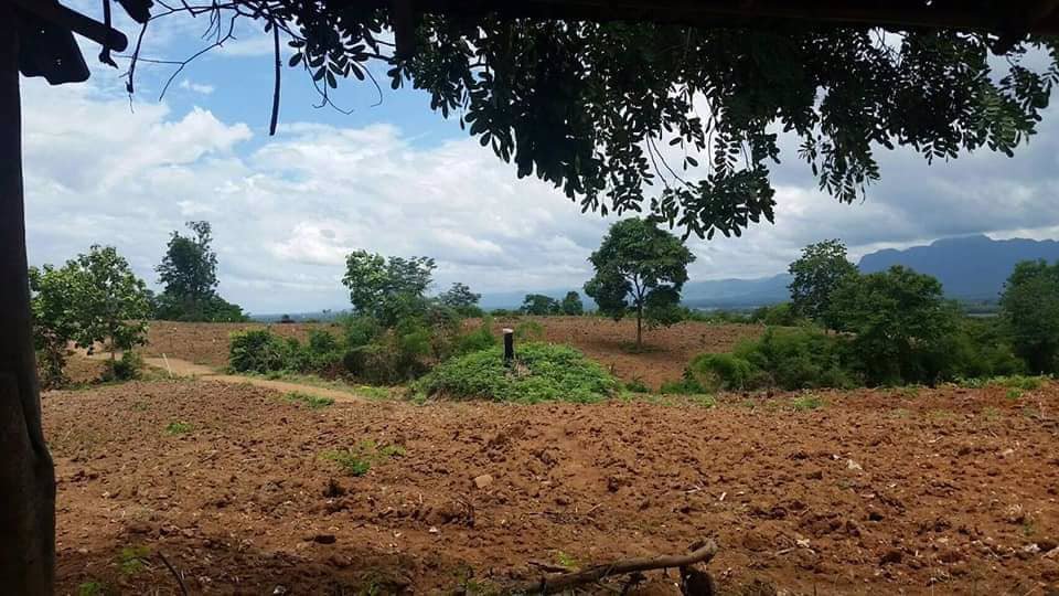 ที่ดินวิวภูเขา-ใกล้ภูทับเบิก-ห่างจากทางหลวงแผ่นดินเพียง12กม-แปลงใหญ่-103-1-81-ไร่-แบ่งโฉนดได้