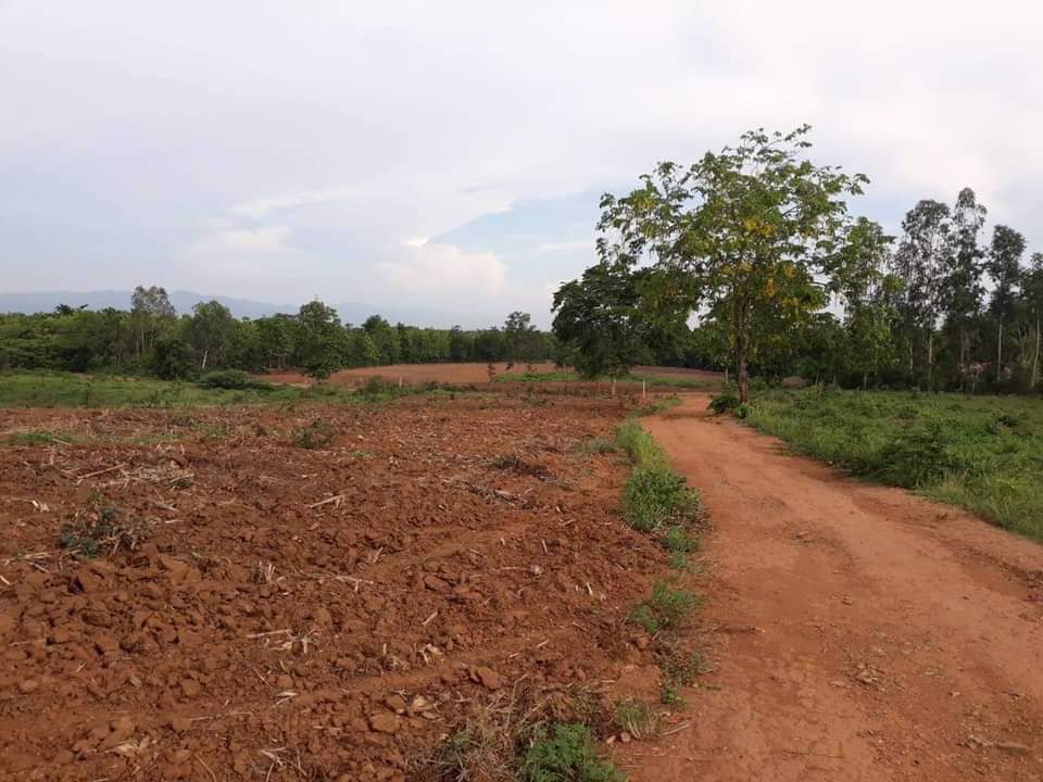 ที่ดินวิวภูเขา-ใกล้ภูทับเบิก-ห่างจากทางหลวงแผ่นดินเพียง12กม-แปลงใหญ่-103-1-81-ไร่-แบ่งโฉนดได้