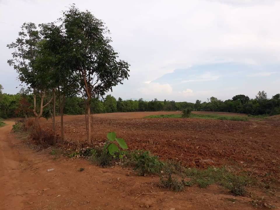 ที่ดินวิวภูเขา-ใกล้ภูทับเบิก-ห่างจากทางหลวงแผ่นดินเพียง12กม-แปลงใหญ่-103-1-81-ไร่-แบ่งโฉนดได้