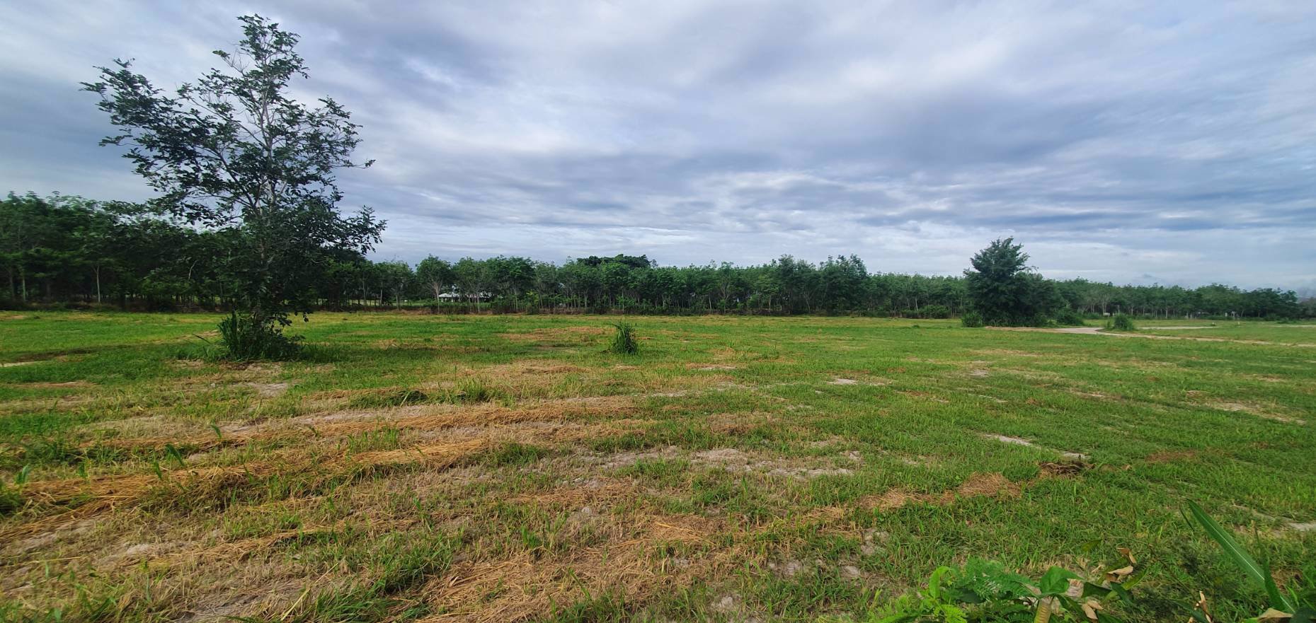 ขายที่ดิน-และรับจัดสรรออกแบบและก่อสร้างในหัวหิน