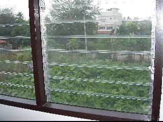 อาคารพาณิชย์-40-ตรว-พร้อมเข้าอยู่ได้-1-ตค-2564