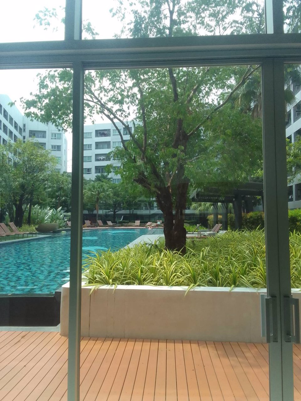 เอลิโอ-เดล-เรย์คอนโด-สุขุมวิท-64