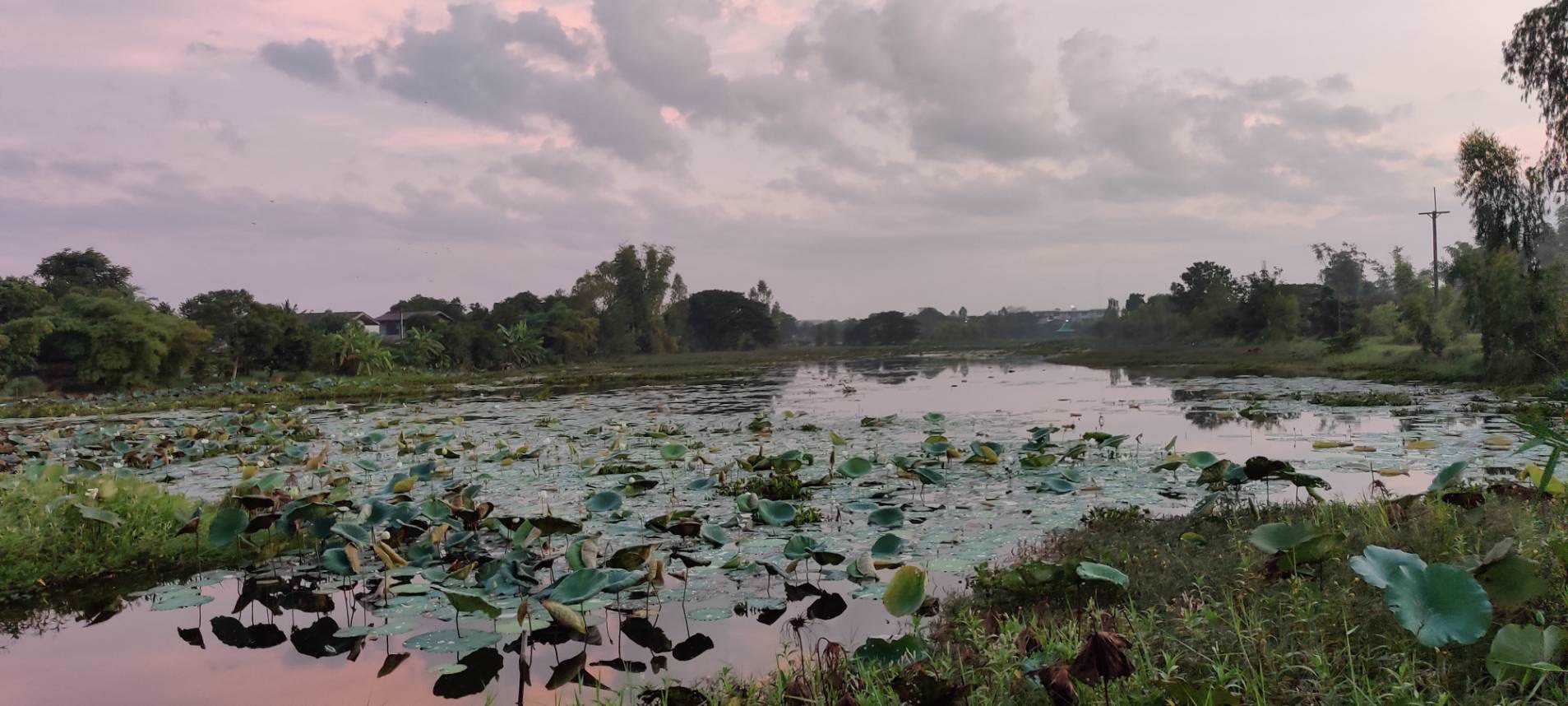 เช้านี้-ที่หนองไอบ้านสวยกาฬสินธุ์-บ้านเดี่ยวสร้างตามใจผู้พักอาศัย