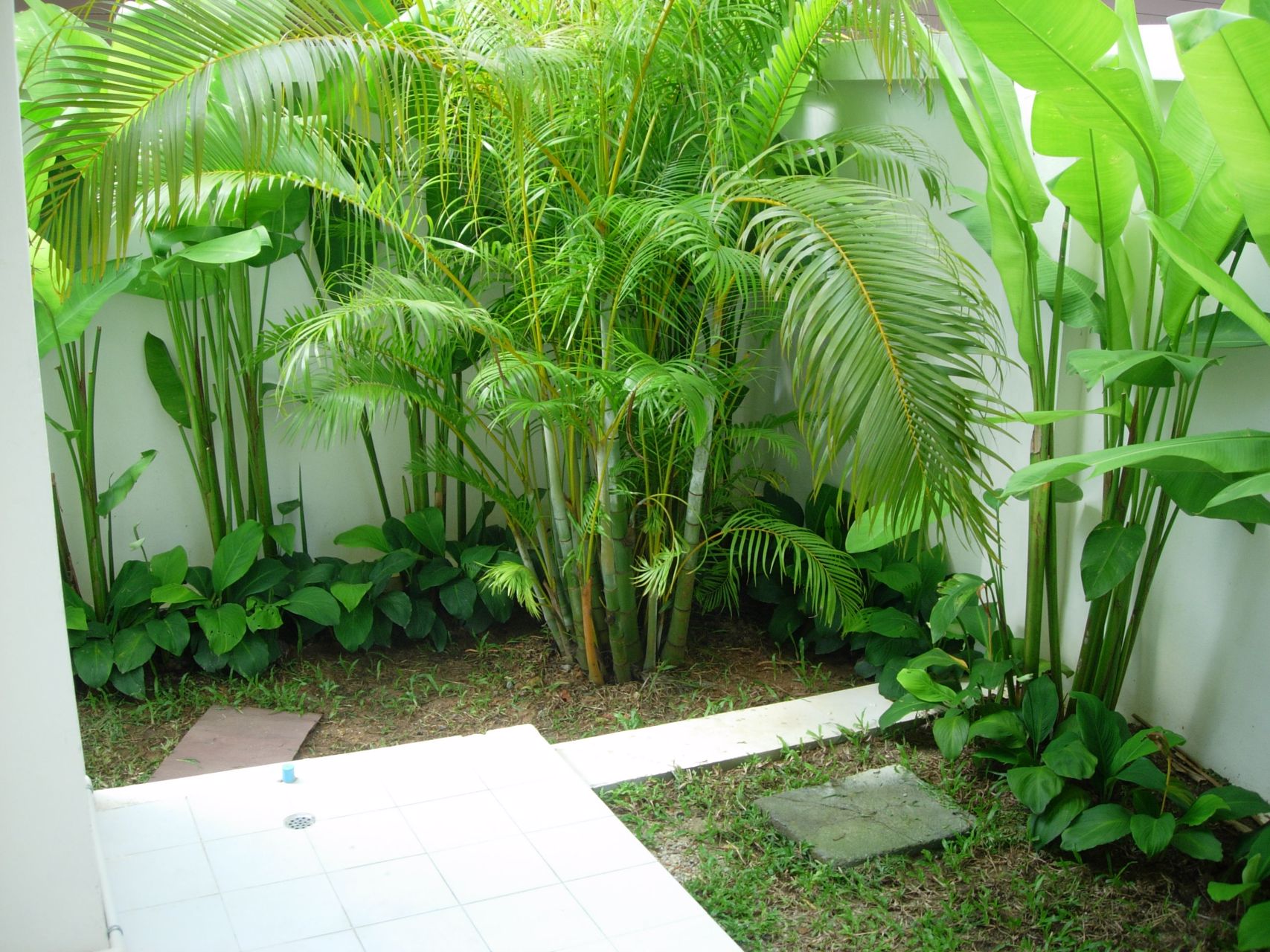 ทาวน์โฮม-3-ชั้นในเมืองภูเก็ต-เช่า-ด่วน-home-office-3rd-floor-for-rent-