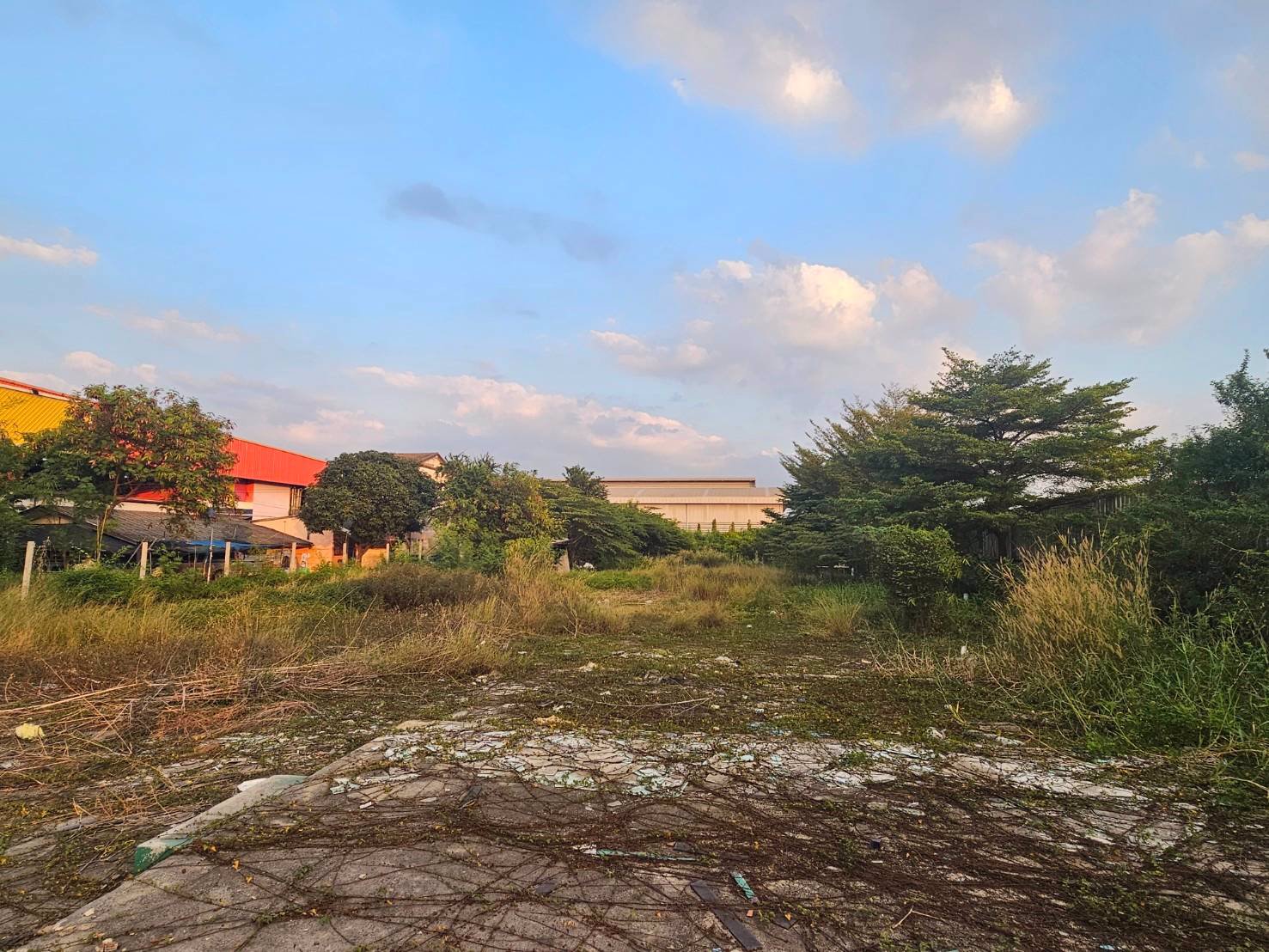 ขายที่เปล่าติดถนนเศรษฐกิจ1กระทุ่มแบน