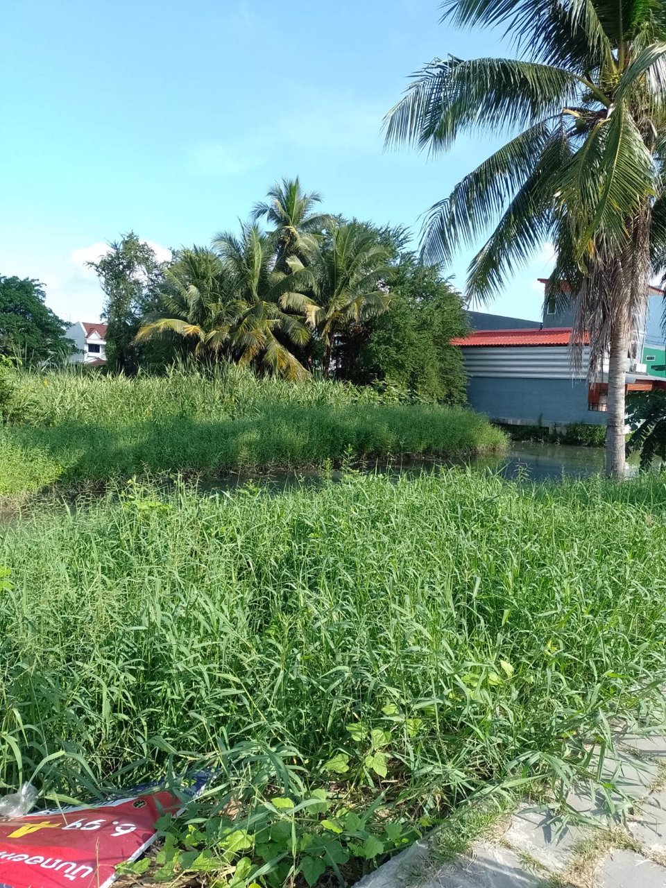 ขายที่ดิน-เนื้อที่-1ไร่-2งาน-53-ตารางวาเศษสองส่วน10