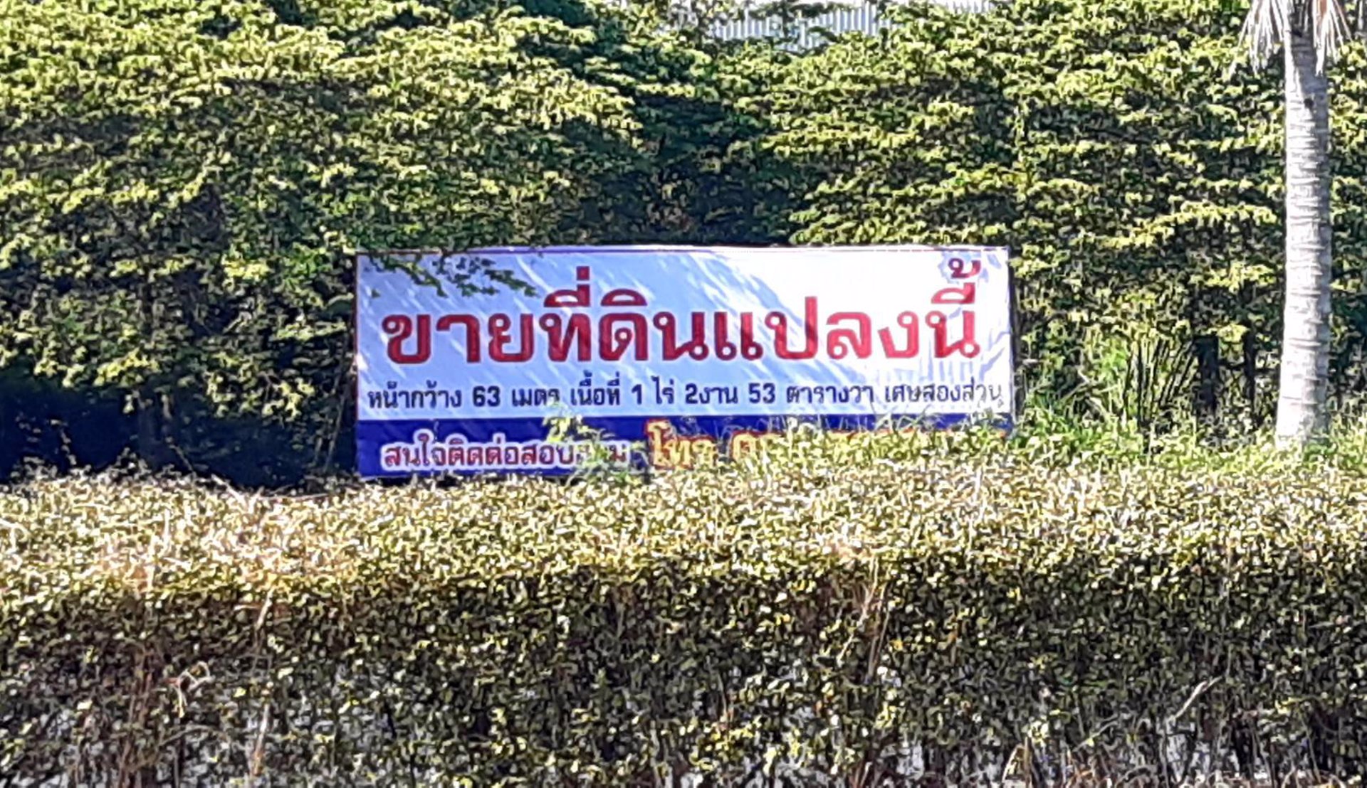 ขายที่ดิน-เนื้อที่-1ไร่-2งาน-53-ตารางวาเศษสองส่วน10