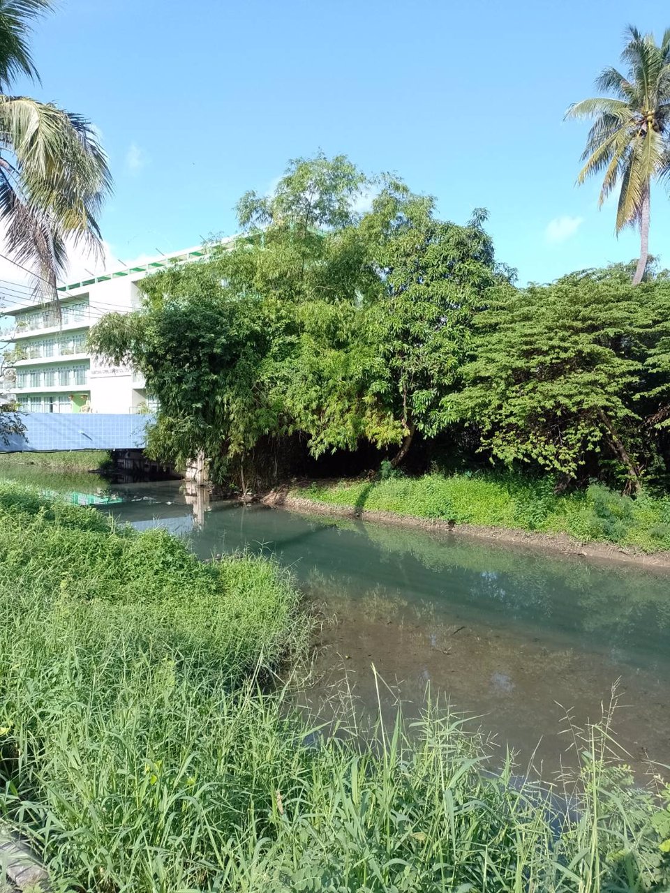 ขายที่ดิน-เนื้อที่-1ไร่-2งาน-53-ตารางวาเศษสองส่วน10