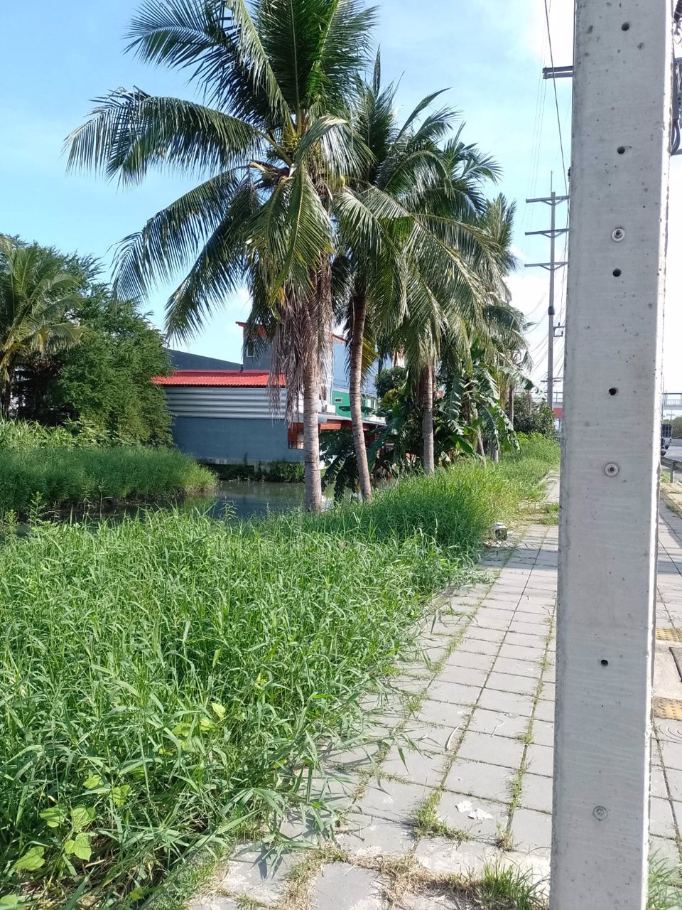 ขายที่ดิน-เนื้อที่-1ไร่-2งาน-53-ตารางวาเศษสองส่วน10