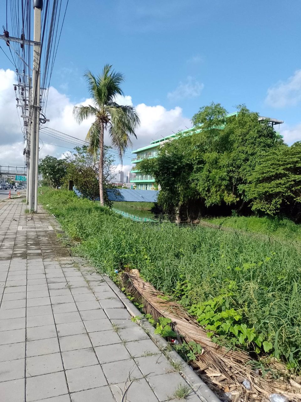 ขายที่ดิน-เนื้อที่-1ไร่-2งาน-53-ตารางวาเศษสองส่วน10