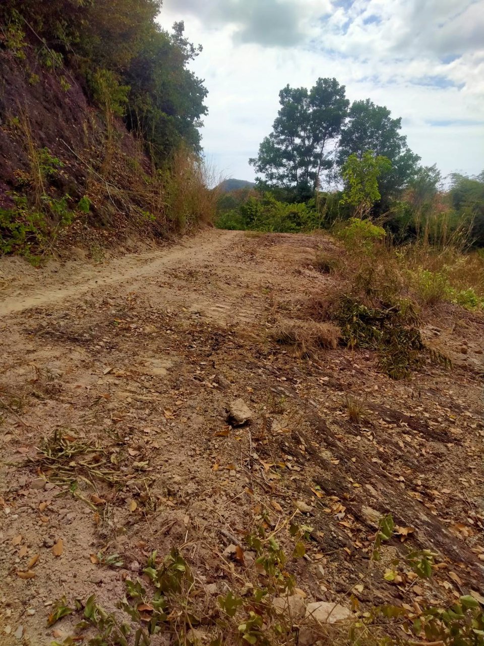 ขายที่ดิน-เป็นที่ชีวิวเห็นทะเลเเละเกาะต่างหลายเกาะ