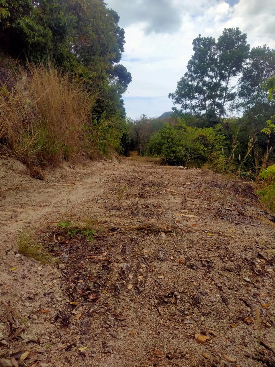 ขายที่ดิน-เป็นที่ชีวิวเห็นทะเลเเละเกาะต่างหลายเกาะ