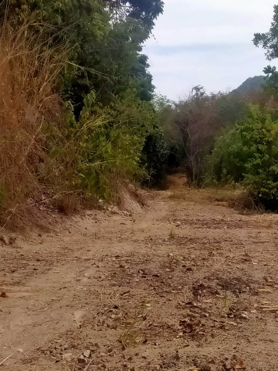 ขายที่ดิน-เป็นที่ชีวิวเห็นทะเลเเละเกาะต่างหลายเกาะ