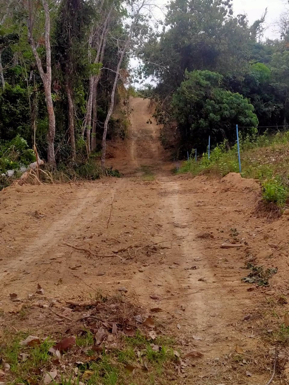 ขายที่ดิน-เป็นที่ชีวิวเห็นทะเลเเละเกาะต่างหลายเกาะ