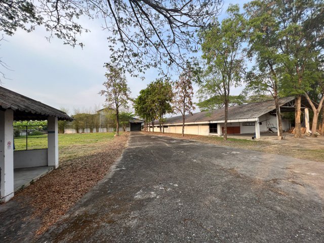 ขายหรือให้เช่าที่ดินพร้อม-โรงงาน-โกดัง-ในเขตบ่อสร้าง-อสันกำแพง-จเชียงใหม่