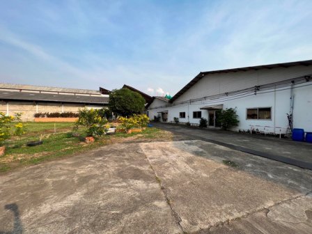 ขายหรือให้เช่าที่ดินพร้อม-โรงงาน-โกดัง-ขนาดใหญ่-ใน-อสันกำแพง-จเชียงใหม่