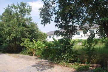 ขายที่ดิน100ตรวคลอง8-ธัญบุรี-ซอู่สง่าศักดิ์ยนต์การ-ห่างจาก-ถรังสิตนครนายกเพียง160-ม-ราคา-890000